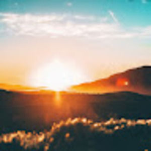 Meet your Posher, Liz